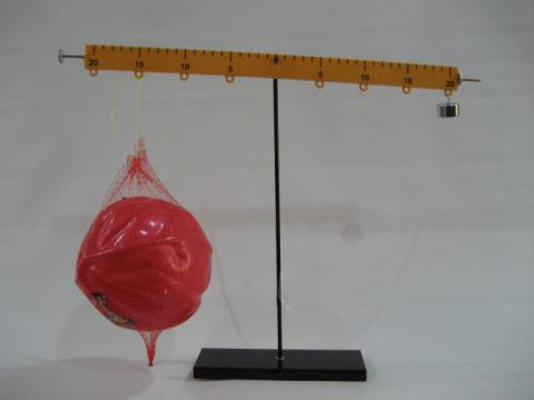 氣體浮力演示器